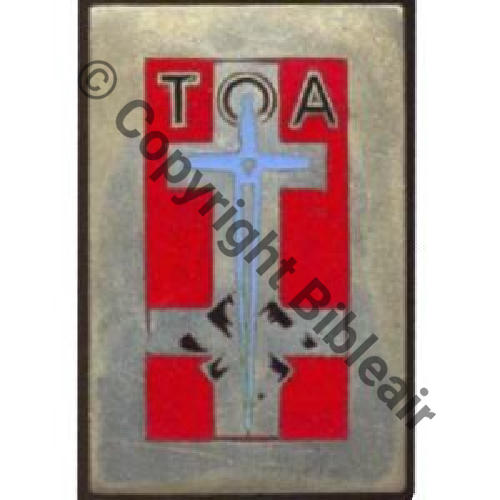 H0569 TROUPES OCCUPATION ALLEMAGNE avec TOA  SM Bol fenetre Dos lisse SNH 